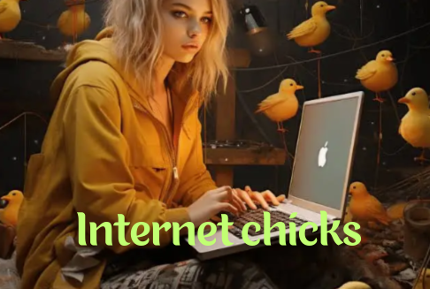 Read more about the article Internet Chicks: Power and Influence of Internet Chicks in the Digital Space